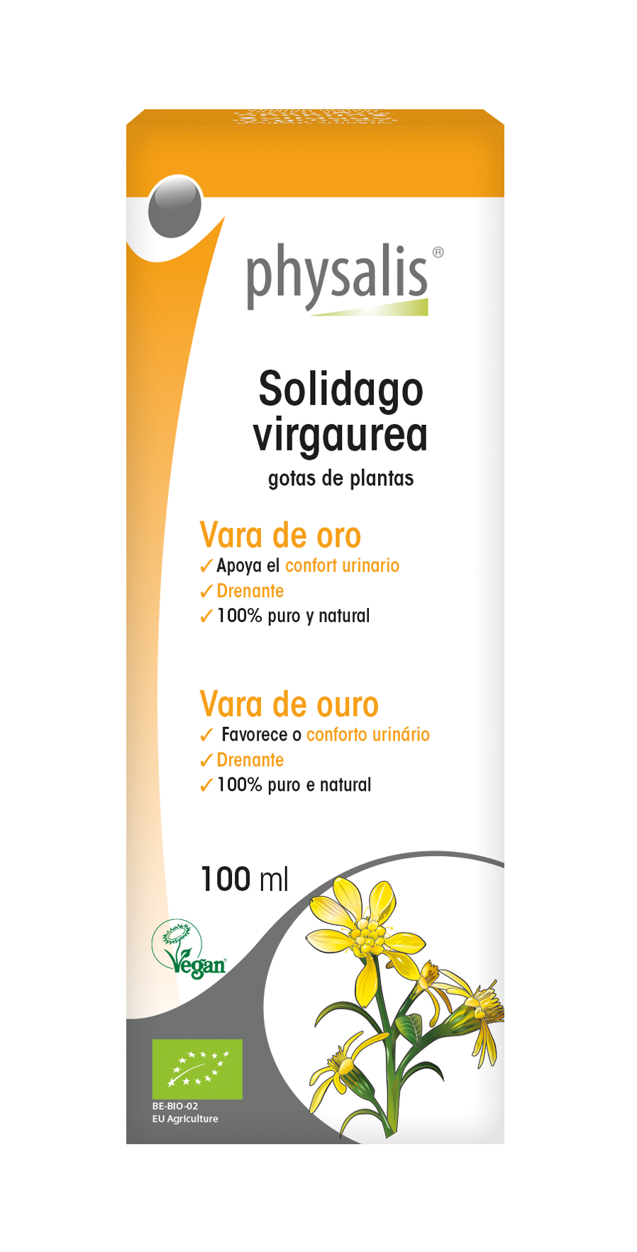 Solidago virgaurea Gotas de plantas