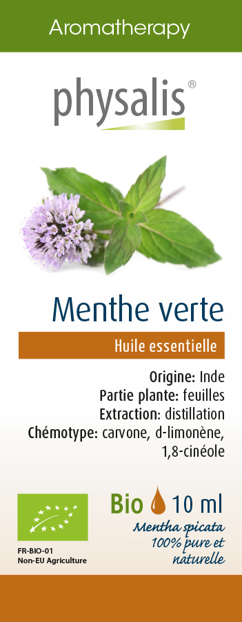 Menthe verte